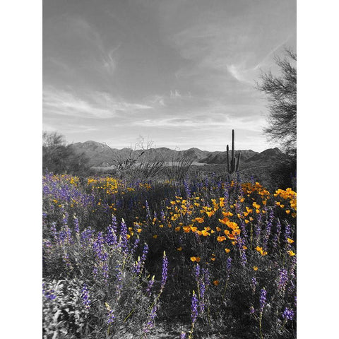 Wildflowers BandW VI Black Modern Wood Framed Art Print by Popcorn