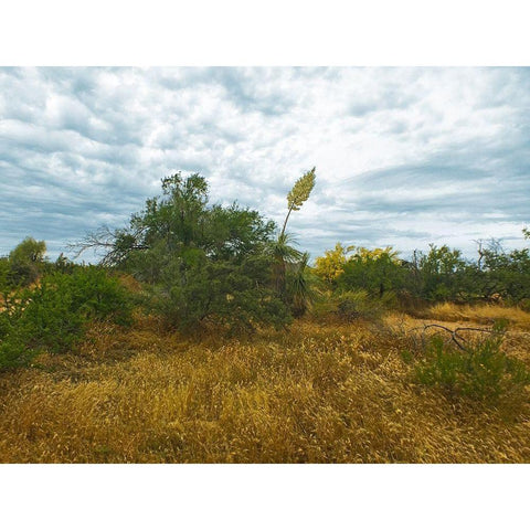 Desert Scape 6 White Modern Wood Framed Art Print by Popcorn