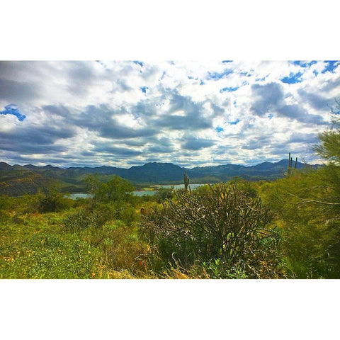 Bartlett Lake A Black Modern Wood Framed Art Print by Popcorn