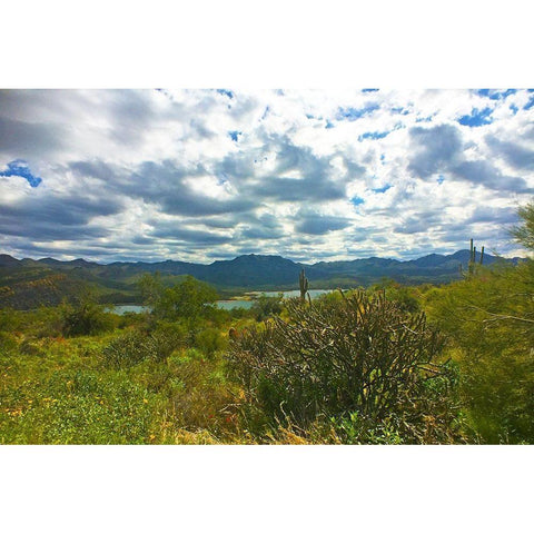 Bartlett Lake B Black Modern Wood Framed Art Print by Popcorn