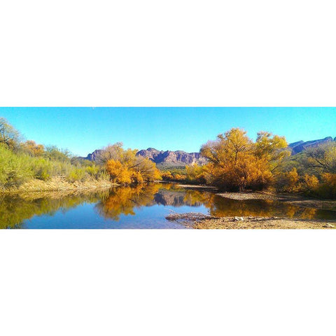 Salt RIver in Fall I White Modern Wood Framed Art Print by Tenoever, William