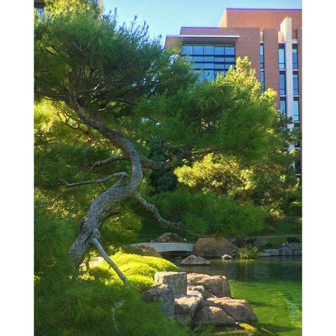 Japanese Friendship Garden I Black Modern Wood Framed Art Print with Double Matting by Tenoever, William