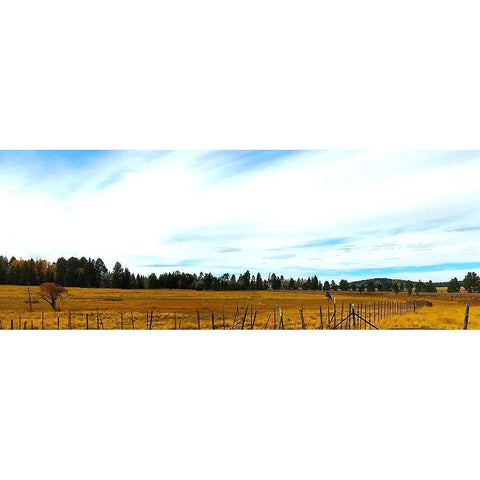 Az State Route 173 1 Black Modern Wood Framed Art Print by Tenoever, William