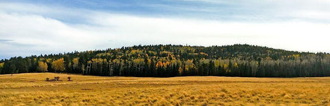 Az State Route 173 2 White Modern Wood Framed Art Print with Double Matting by Tenoever, William