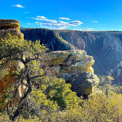 Chiricahua 2 White Modern Wood Framed Art Print by Tenoever, William