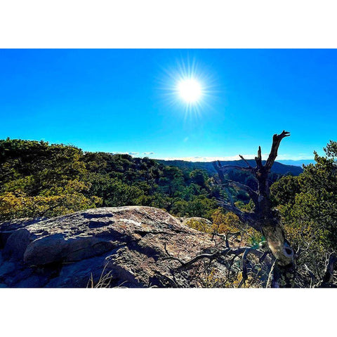 Chiricahua 4 Gold Ornate Wood Framed Art Print with Double Matting by Tenoever, William