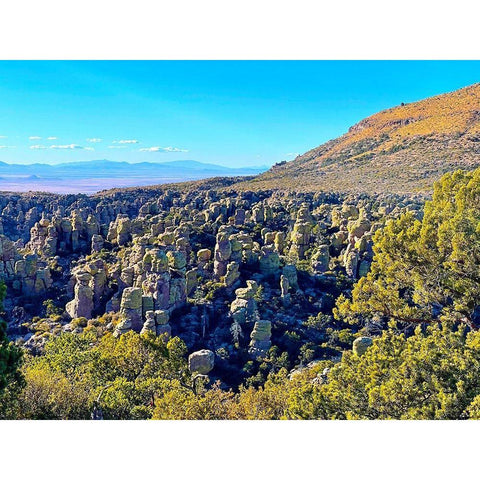 Chiricahua 5 White Modern Wood Framed Art Print by Tenoever, William