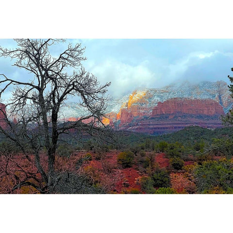 SedonaInWinter1 White Modern Wood Framed Art Print by Tenoever, William