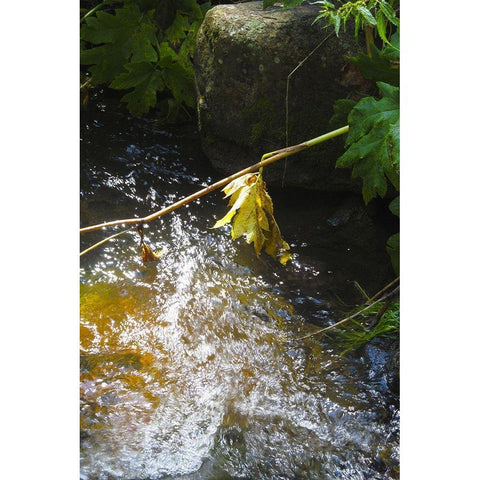 Riparian II White Modern Wood Framed Art Print by Popcorn