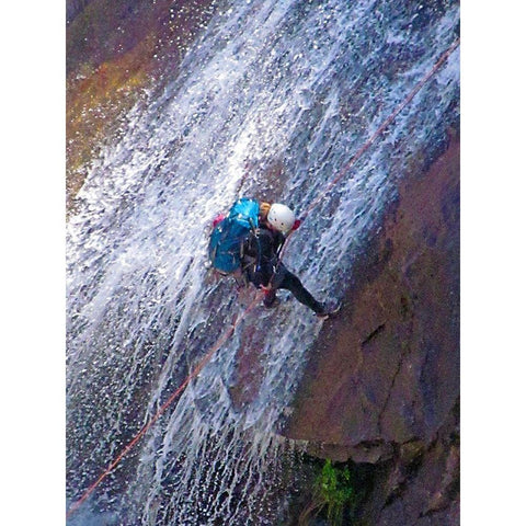 Rappel III Gold Ornate Wood Framed Art Print with Double Matting by Popcorn