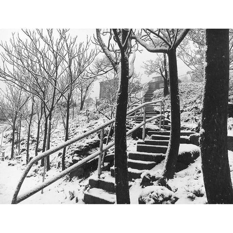 Jerome Snowy Stairs III BandW Black Modern Wood Framed Art Print by Popcorn