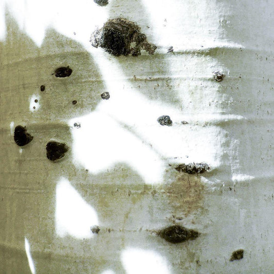 Image Only