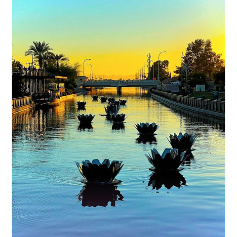 Scottsdale:FloatusBlossoms White Modern Wood Framed Art Print by Tenoever, William