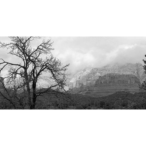 SedonaInWinter2:BAndW Black Modern Wood Framed Art Print with Double Matting by Tenoever, William