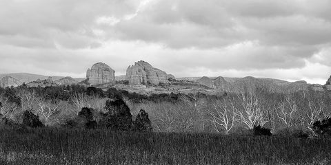 SedonaInWinter4a:BAndW White Modern Wood Framed Art Print with Double Matting by Tenoever, William