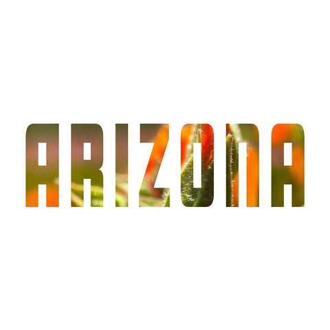 Arizona Gold Ornate Wood Framed Art Print with Double Matting by Popcorn