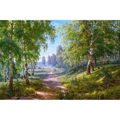 Birch forest White Modern Wood Framed Art Print by Basov, Sergej