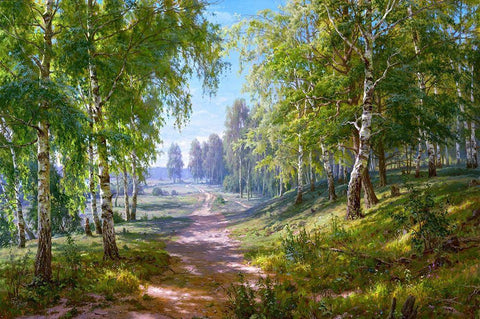 Birch forest Black Ornate Wood Framed Art Print with Double Matting by Basov, Sergej