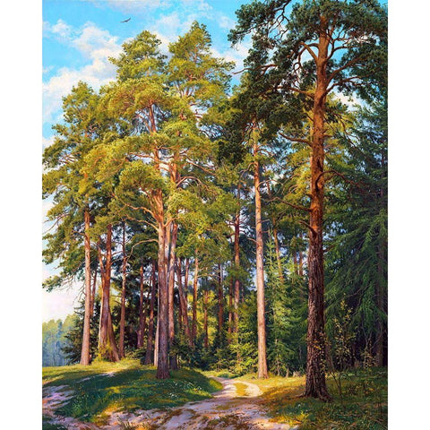 Ship pines Black Modern Wood Framed Art Print with Double Matting by Basov, Sergej