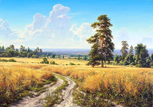 Image Only