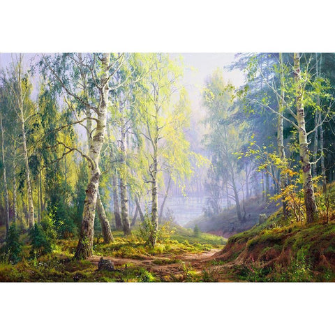Morning at the birch forest White Modern Wood Framed Art Print by Basov, Sergej