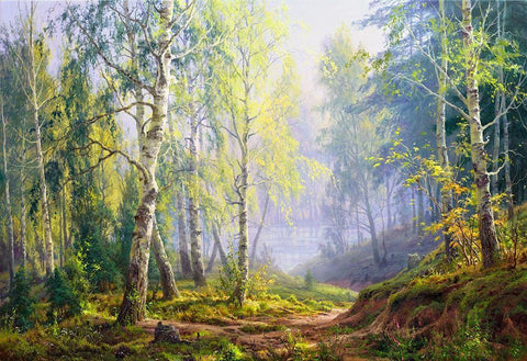 Morning at the birch forest Black Ornate Wood Framed Art Print with Double Matting by Basov, Sergej