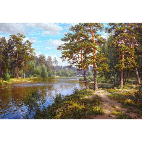 Lake at the forest Black Modern Wood Framed Art Print with Double Matting by Basov, Sergej