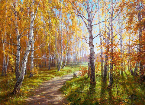 Autumn grove White Modern Wood Framed Art Print with Double Matting by Basov, Sergej