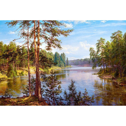 The Lake Black Modern Wood Framed Art Print by Basov, Sergej