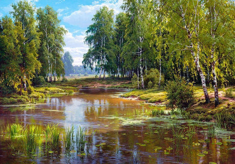 Verdurous pond White Modern Wood Framed Art Print with Double Matting by Basov, Sergej