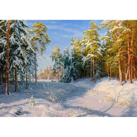 Frost and sunshine Black Modern Wood Framed Art Print with Double Matting by Basov, Sergej