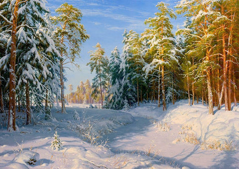 Frost and sunshine White Modern Wood Framed Art Print with Double Matting by Basov, Sergej