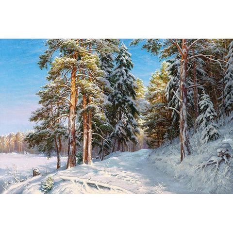 Frost White Modern Wood Framed Art Print by Basov, Sergej