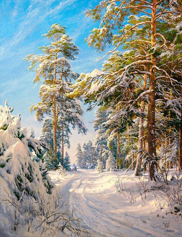 Pine forest winter White Modern Wood Framed Art Print with Double Matting by Basov, Sergej