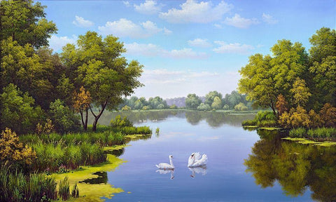 Landscape with swans Black Ornate Wood Framed Art Print with Double Matting by Babichev, Vyacheslav