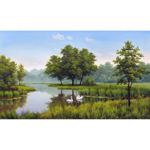 Two swans White Modern Wood Framed Art Print by Babichev, Vyacheslav