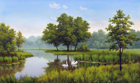 Two swans White Modern Wood Framed Art Print with Double Matting by Babichev, Vyacheslav