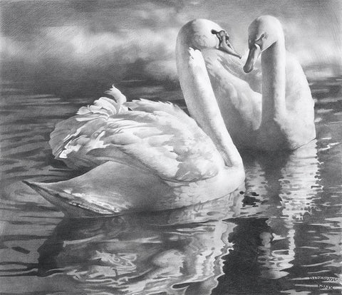 Two swans White Modern Wood Framed Art Print with Double Matting by Chernov, Denis