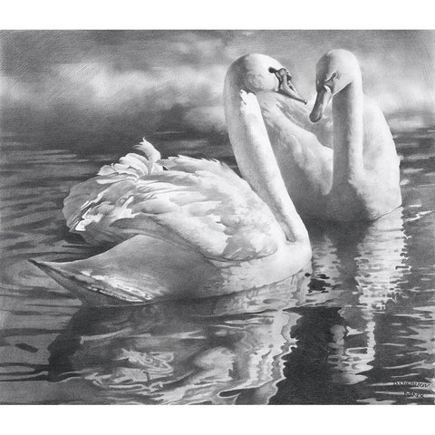 Two swans Black Modern Wood Framed Art Print with Double Matting by Chernov, Denis