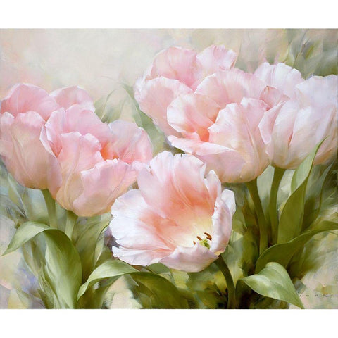 Pink tulips White Modern Wood Framed Art Print by Levashov, Igor