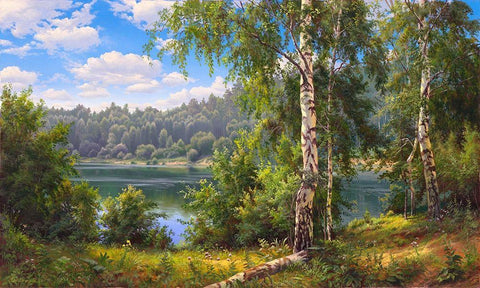 Forest lake White Modern Wood Framed Art Print with Double Matting by Prishchepa, Igor