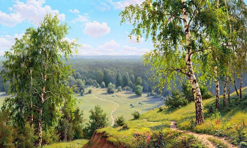 Birch valley White Modern Wood Framed Art Print with Double Matting by Prishchepa, Igor