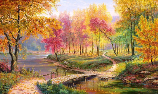 Image Only