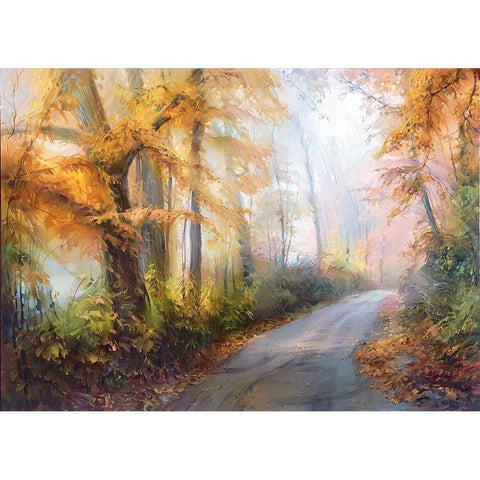 Road to the forest White Modern Wood Framed Art Print by Romanov, Roman