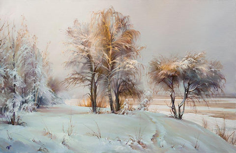 It snowed Black Ornate Wood Framed Art Print with Double Matting by Romanov, Roman