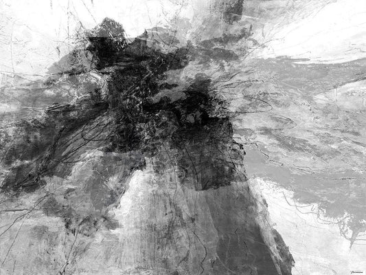 Image Only