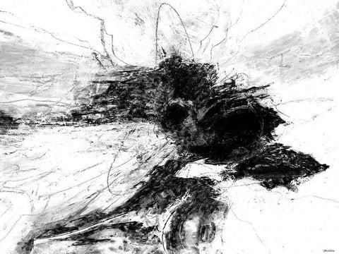 B and W II Black Ornate Wood Framed Art Print with Double Matting by Tienhaara, Michael