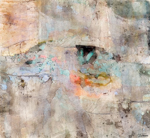 Reflective I WC V II Black Ornate Wood Framed Art Print with Double Matting by Tienhaara, Michael