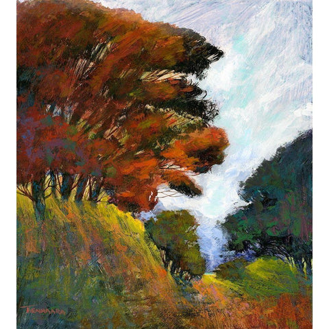 Falls Romance III Black Modern Wood Framed Art Print with Double Matting by Tienhaara, Michael