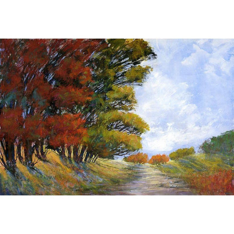 Golden Harmonies I White Modern Wood Framed Art Print by Tienhaara, Michael